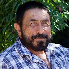 Sunkissedstudio Design