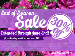 Check spelling or type a new query. Spring Sale 30 Off All Tubers Sale Extended To June 3rd Swan Island Dahlias Swan Dahlias