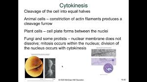 We did not find results for: Chp 10 11 12 Review Youtube