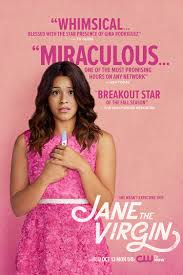 Netflix Binge 5 Dutch Book Chick