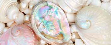 What is Mother of Pearl? | Van Dyke's Restorers