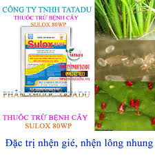 Sulox 80WP