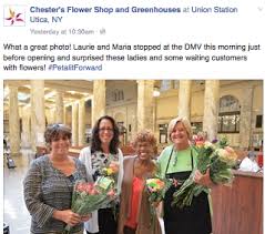 Statistics about the concord area on our site. Local Florists Turn Petal It Forward Into Love Fest And Marketing Gold Safnow Org