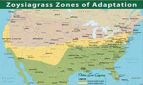 Where Zoysia Grass Grows In Usa