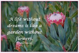 Check spelling or type a new query. A Life Without Dreams Is Like A Garden Without Flowers Author Unknown Flowers Garden Flower Power
