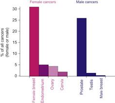 He knows how to appear childlike, and inspire others to take care of him in a motherly fashion. Endocrine Disruption And Cancer Of Reproductive Tissues Sciencedirect