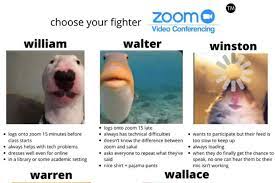 We Live In Zoom Now Memes Video Conferencing Sorority Socials