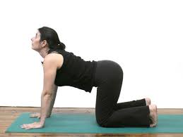 How To Do The Cat Cow Pose Illustrated Instructions Cow Pose Cat Cow Pose Yoga Poses