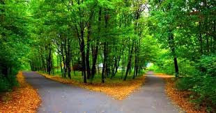 Pembuatan ajb dilakukan oleh para pihak di kantor pejabat pembuat akta… Pin Pada Idea Untuk Rumah