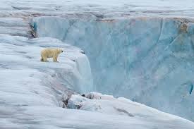 The best images from the Natural Landscapes Challenge 2023