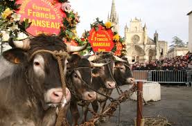 La fête boeufs gras de bazas. Boeufs Gras De Bazas Gastronomie