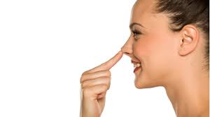 Deutschland, von manchen überschwänglich als das land der „dichter und denker verehrt, war zugleich die wiege extremsten rassenhasses. Nasen Korrektur Ohne Op Mit Dieser Methode Klappt S Brigitte De