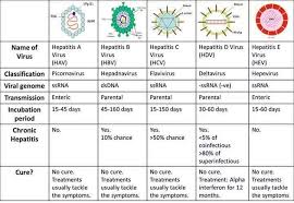 Medical Laboratory Scientists - Differences between Hepatitis A, B, C, D  and E | Facebook