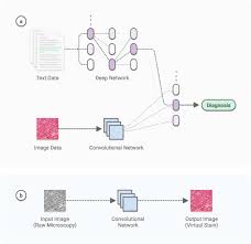 In computer vision, object detection is scanning and searching for an object in an image or a video (which is just sequence of images). Deep Learning Enabled Medical Computer Vision Npj Digital Medicine