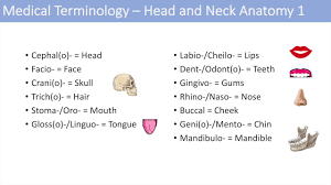You learn how to read them to. Medical Terminology The Basics Lesson 1 Youtube