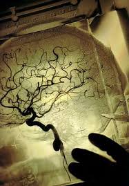 Wendy Boutilier The Brain Tree The Tree Of Life Brain Art Cosmic Art Feminism Art