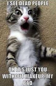 Watch cute chubby brunette amateur online on youporn.com. Linda Morrison Lindamorrison1667 Profile Pinterest