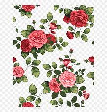 Beautiful flower images for desktop 14 hd wallpapers botany. Flower Wallpaper Flower Backgrounds Iphone Wallpaper Drawing Beautiful Rose Flowers Hd Png Download 640x800 1997551 Pngfind