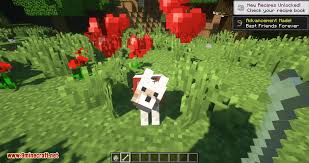 Survival/tech/magic & more.in this top 1. Respawnable Pets Mod 1 16 4 1 15 2 Minecraft Mod Download