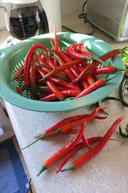 Maybe you would like to learn more about one of these? Goat Horn Pepper Seeds Stuffed Peppers Growing Peppers Goat Horn