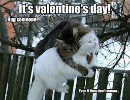 I did absolutely nothing today. 50 Funniest Valentine Day S Memes Images Pics For Your Bae