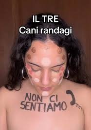 Cani Randagi: La Trasformazione di Laura Ottaviani