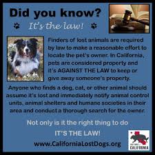 There are many support groups that help people who are suffering from the loss of a dog. Did You Find A Pet In Madera County Madera County