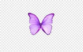 Blurple butterfly blue cool wallpaper, background, picture and layout. Butterfly Purple Color Moth Dream Purple Butterfly Png Purple Butterfly Butterfly Drawing Butterfly