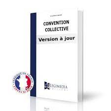 Coiffure Convention Collective Brochure N 3159 Garantie A Jour Achat Vente Livre Parution Pas Cher Cdiscount