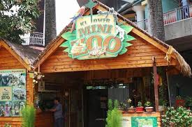 Inr 270 to children up to 12 years of age, and rm 21, i.e. Skip The Line Kl Tower Mini Zoo Admission Ticket In Kuala Lumpur 2021