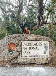 Other places to stay near everglades national park are naples/marco island, miami/fort lauderdale and the upper keys. Exploring The Real Wild Side Of Miami The Everglades Travels Of Sarah Fay