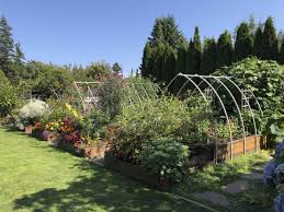 Everyone loves good food, and food grown in your own vegetable garden is simply the best. The Benefits Of Vegetable Or Flower Gardening With Raised Beds Heraldnet Com