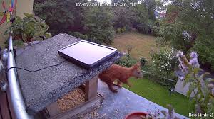 The outdoor camera also has a smart motion sensor and is extremely easy to set up, which is part of the reason why i picked it. Battery Powered Security Cameras With Smartphone App Ultimate Guide You Need Reolink Blog