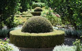 Loseley Park Gardens Surrey Garden Landscape Design Topiary Trees Landscape Design
