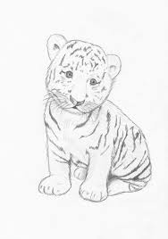 Draw a circle near the right side of the paper as a guide for the tiger cub's head. Cute Tiger Drawing Easy Novocom Top