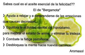 Propiedades Del Aceite Esencial De Bergamota Aceite Esencial De Bergamota Propiedades Del Aceite Bergamota Propiedades