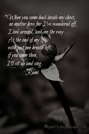 Pin On Photo Qoutes