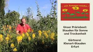 Ein Prariebeet Fur Sonne Und Trockenheit Youtube