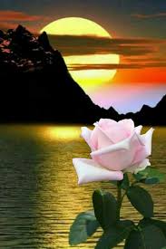 Madre Naturaleza Paisaje De Fantasia Hermosos Paisajes Rosas Bonitas