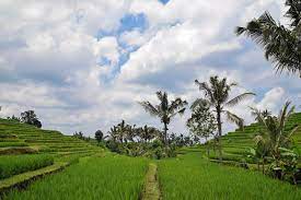 Gambar foto lukisan pemandangan alam gunung, desa, kampung, kota, bawah laut, hitam putih, crayon, pegunungan, hutan, sawah, pedesaan, hd, pensil, sunset. Koleksi Pemandangan Alam Asli Indonesia Hd