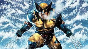 Image result for wolverine