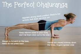 Yoga Basics Basic Yoga Yoga Moves Yoga Asanas