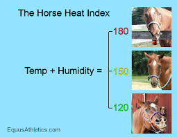 Summer Horses And Heat Stress The Horse Heat Index