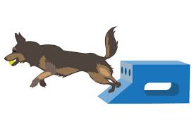 Noun project features the most diverse collection of icons and stock photos ever. German Shepard Playing Flyball Svg Cut File By Creative Fabrica Crafts Creative Fabrica