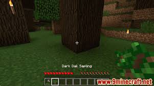 Block Of The Week: Dark Oak Wood | Minecraft