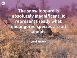 Best endangered species quotes selected by thousands of our users! 15 Leopard Quotes And Inspirational Leopard Sayings