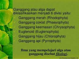 Related Image Hijau
