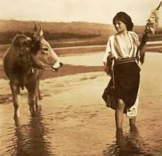 We did not find results for: Sunt Strain In Tara Mea Home Facebook