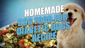 Blood sugar spikes do not occur when dogs are fed a recipe consisting mostly of protein, and the lack of sodium and preservatives in homemade food makes it easy to digest. Homemade Dog Food For Diabetic Dogs Recipe Easy To Make Youtube