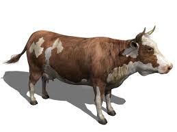 Animal 3d Model 3ds Max Wallpaper Site
